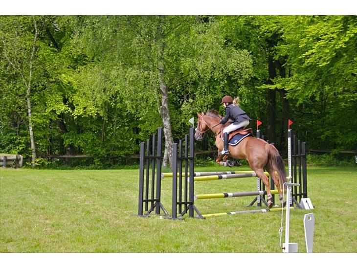 {{currentPhoto.altText}} billede {{currentPhoto.number}}