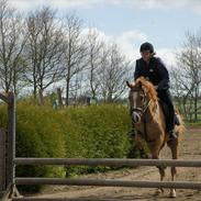Anden særlig race Calibra