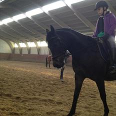 Anden særlig race Solo<3