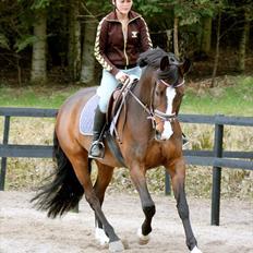 Holstener Camilla (Smilla)