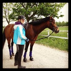 Anden særlig race Damgårdens Mister Mani