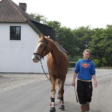Frederiksborg Lady,Godiva.
