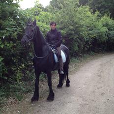 Frieser Richtsje fan 'e greidhoeke