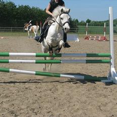 Anden særlig race Smukke Peter Pan <3