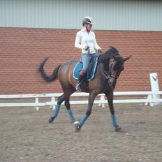 Anden særlig race Chiquita *Bananen*