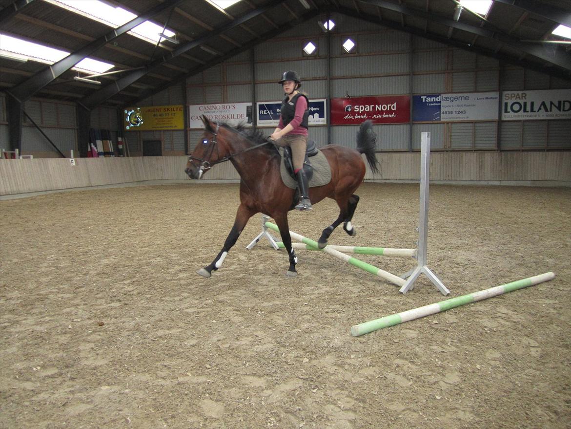 Traver Le Mans Gubi - Sejt hop!:-D billede 3