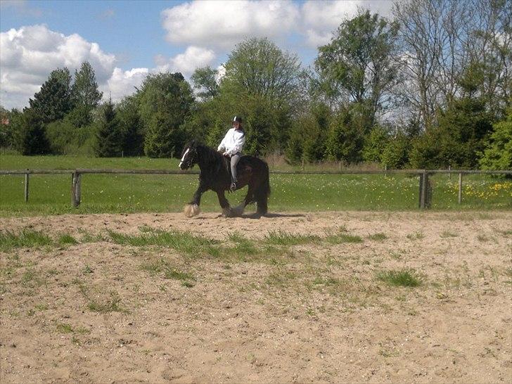 Tinker Dr. Wolle billede 7
