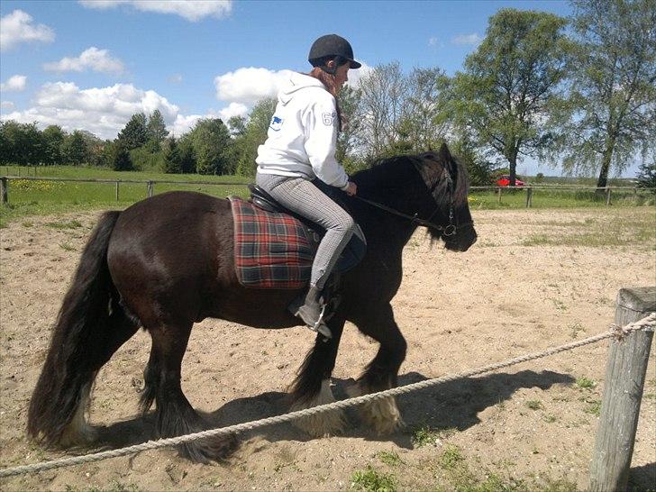 Tinker Dr. Wolle billede 12