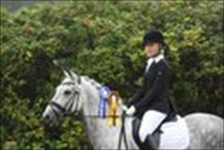 New Forest Lundemarksgårds Favorit billede 18