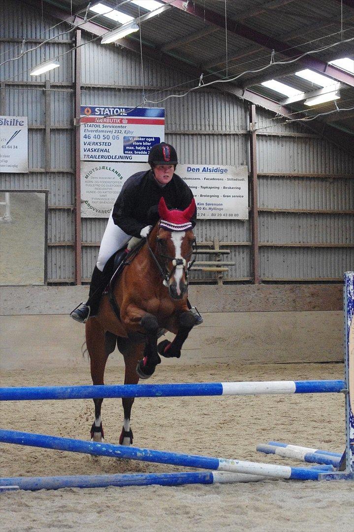 Hannoveraner Rumburak 5 billede 6