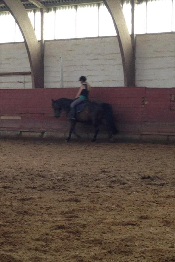 Anden særlig race Solo<3 billede 3