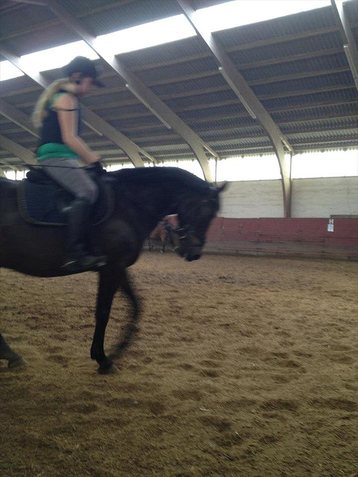 Anden særlig race Solo<3 billede 4