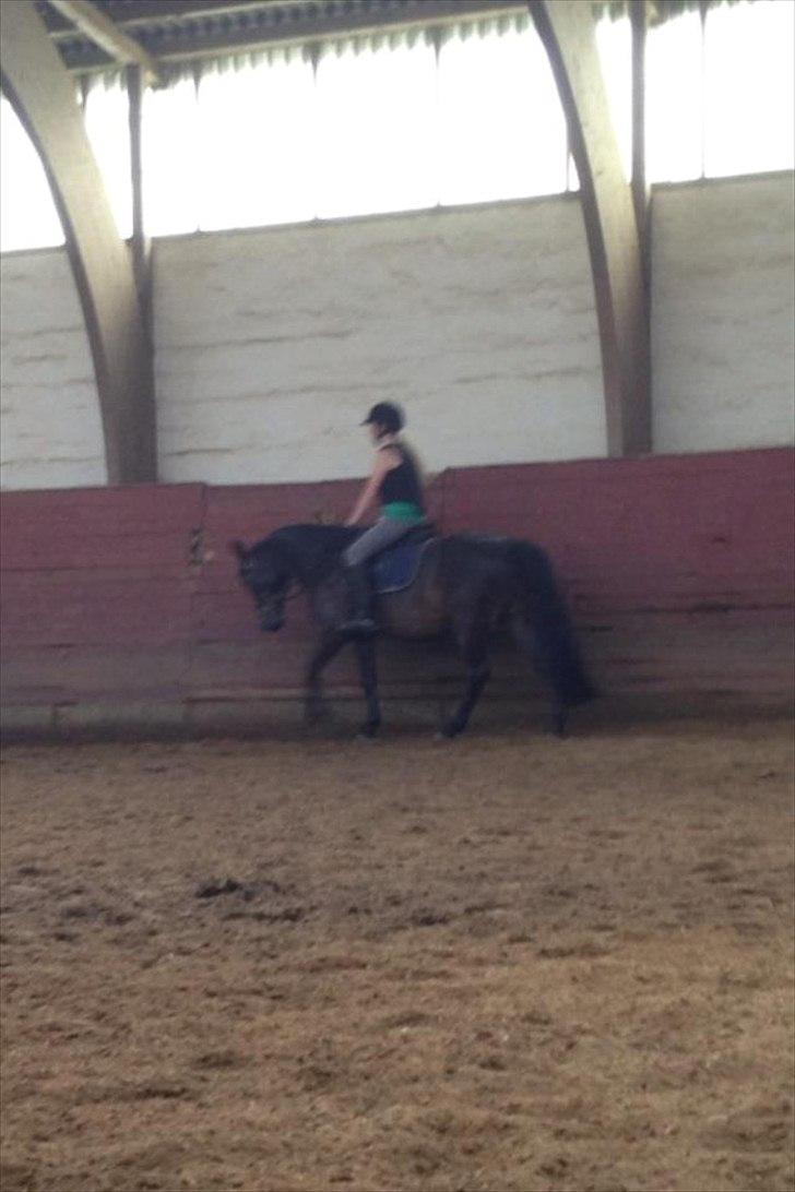 Anden særlig race Solo<3 billede 8