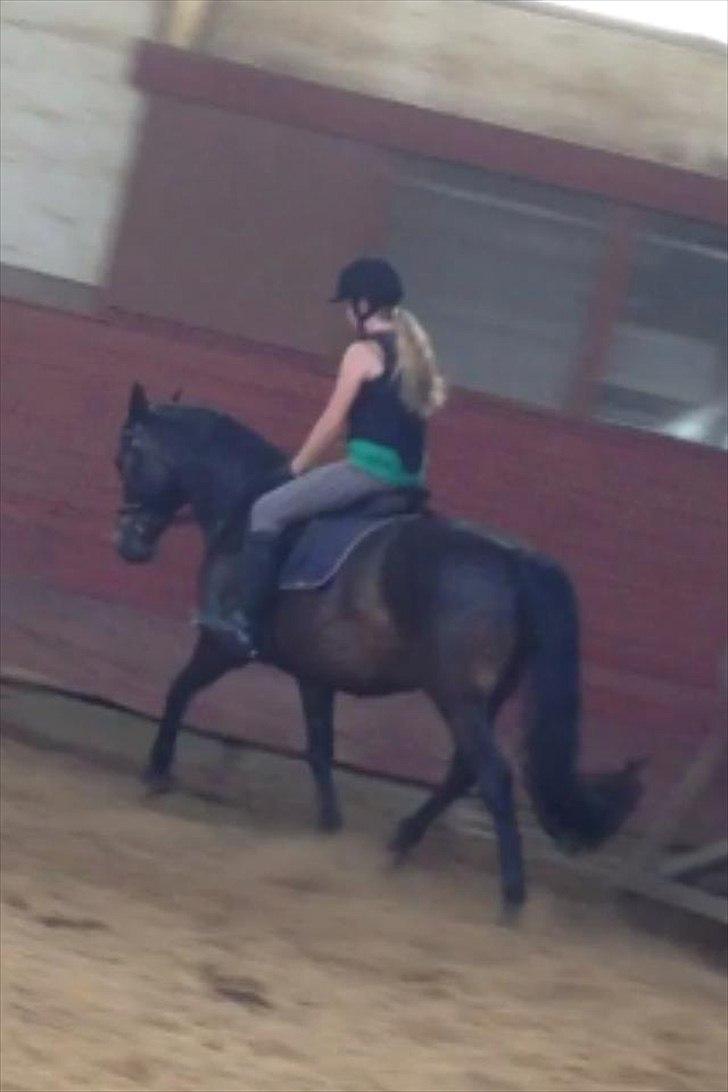 Anden særlig race Solo<3 billede 9