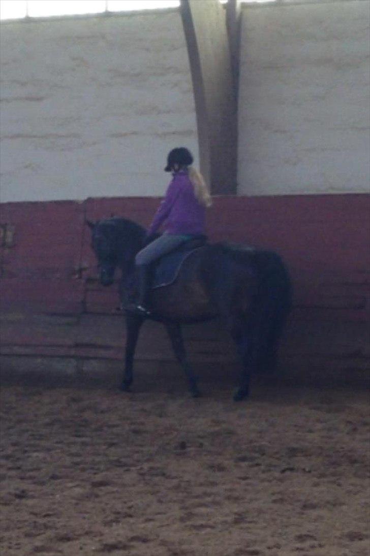 Anden særlig race Solo<3 billede 10