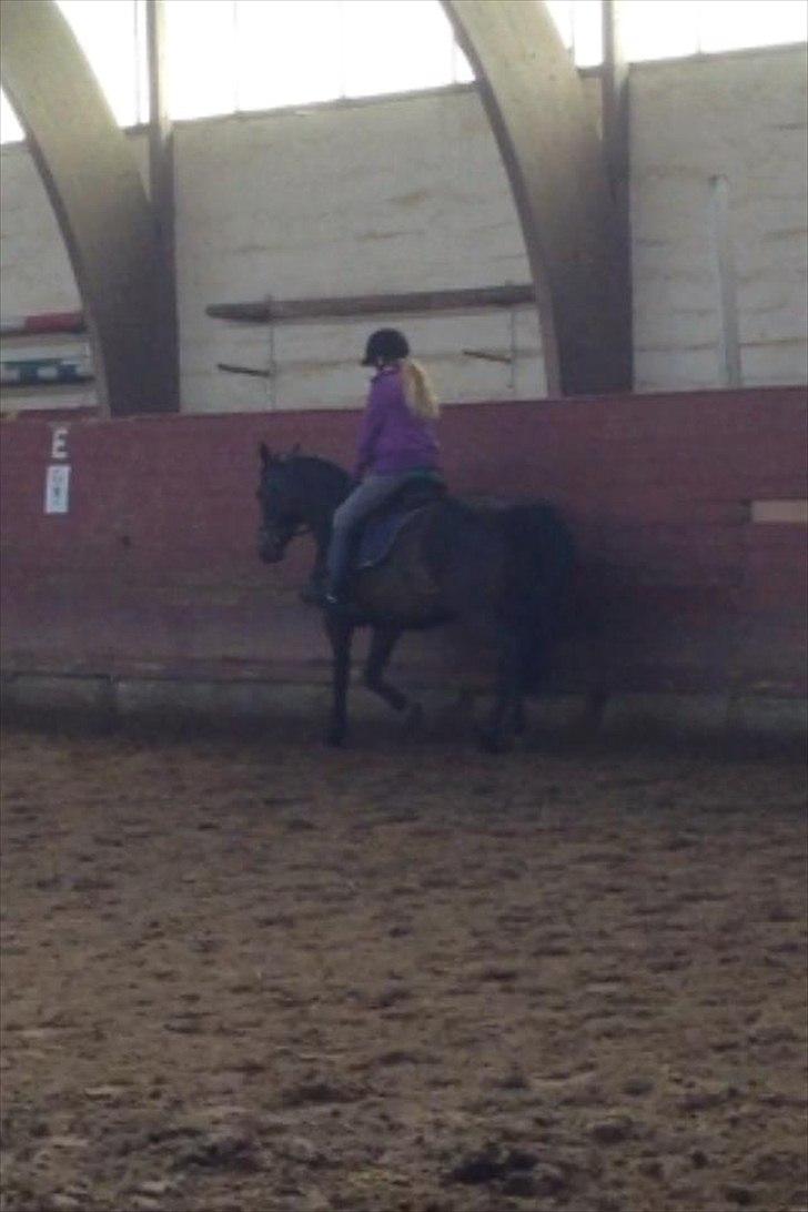 Anden særlig race Solo<3 billede 11