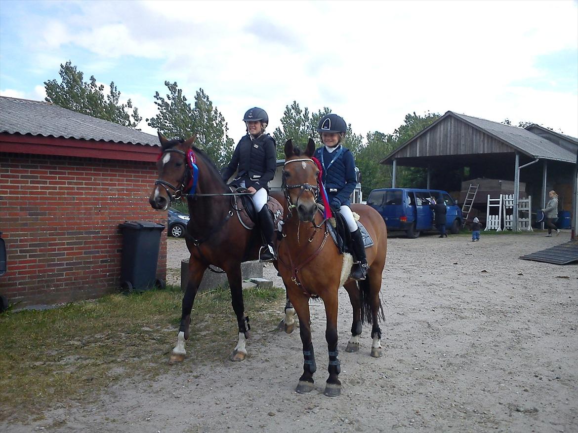 New Forest Little creek's Nicky - Mig og Nicky og Pernille og coco billede 3