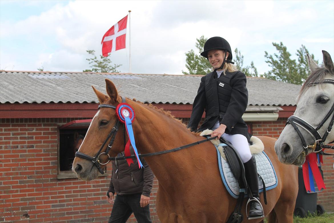 Hollandsk Varmblod Karola - Mig og Karola første stævne! Kom hjem med en 2. plads :D Bryndumdam 2012 billede 16