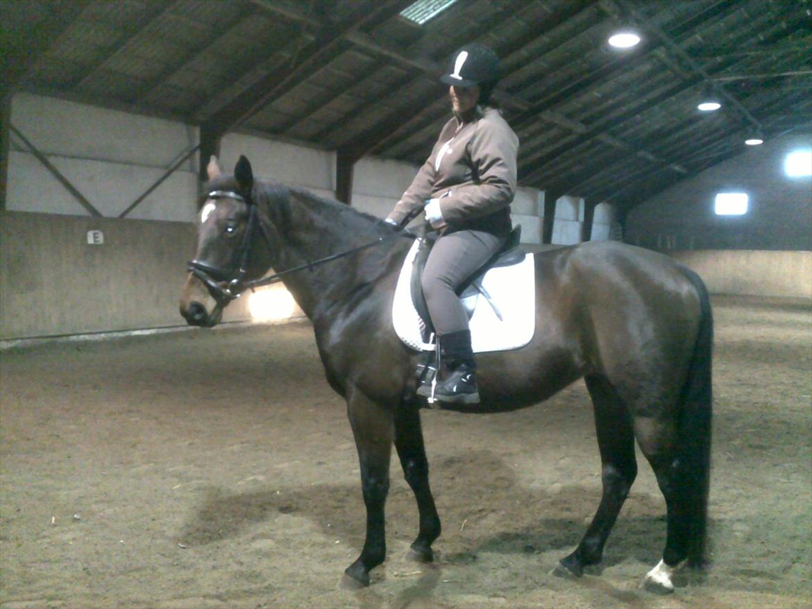 Oldenborg Horsmarks Unella - min første prøvetur på Unella billede 6