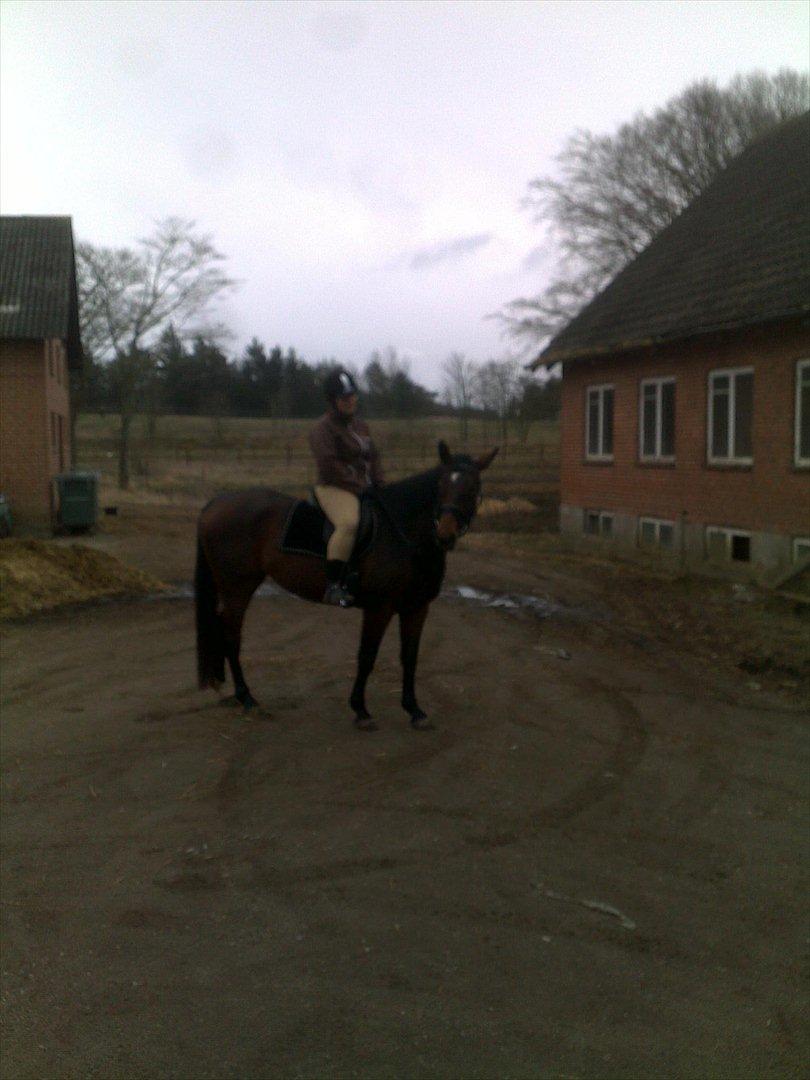 Oldenborg Horsmarks Unella - Unella's første tur i det fri billede 8