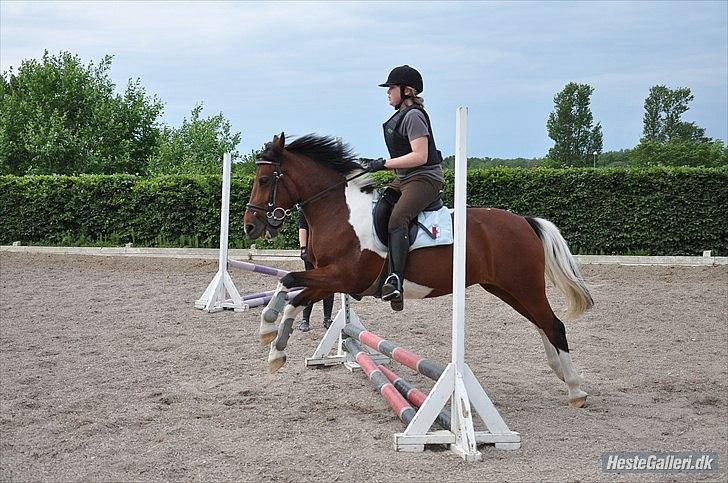 Pinto Sandie - Mig og Sandie springer (jeg ved godt jeg hiver i hende men hun løber lidt nogle gange)
foto:Sarah´s Mor billede 5