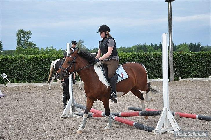 Pinto Sandie - Mig og Sandie springer (Lig lige mærke til hendes bagben)
foto:Sarah´s Mor billede 4