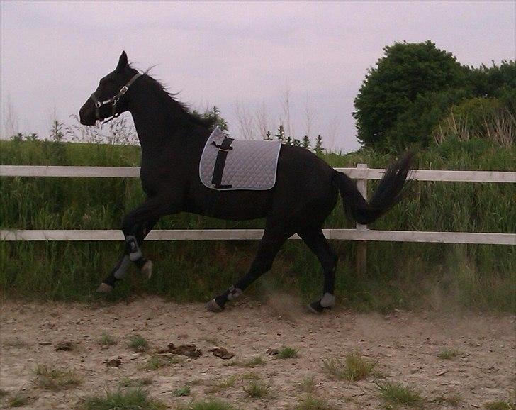 Oldenborg Liva Ærteberg - Ooop af bakke ;) billede 6