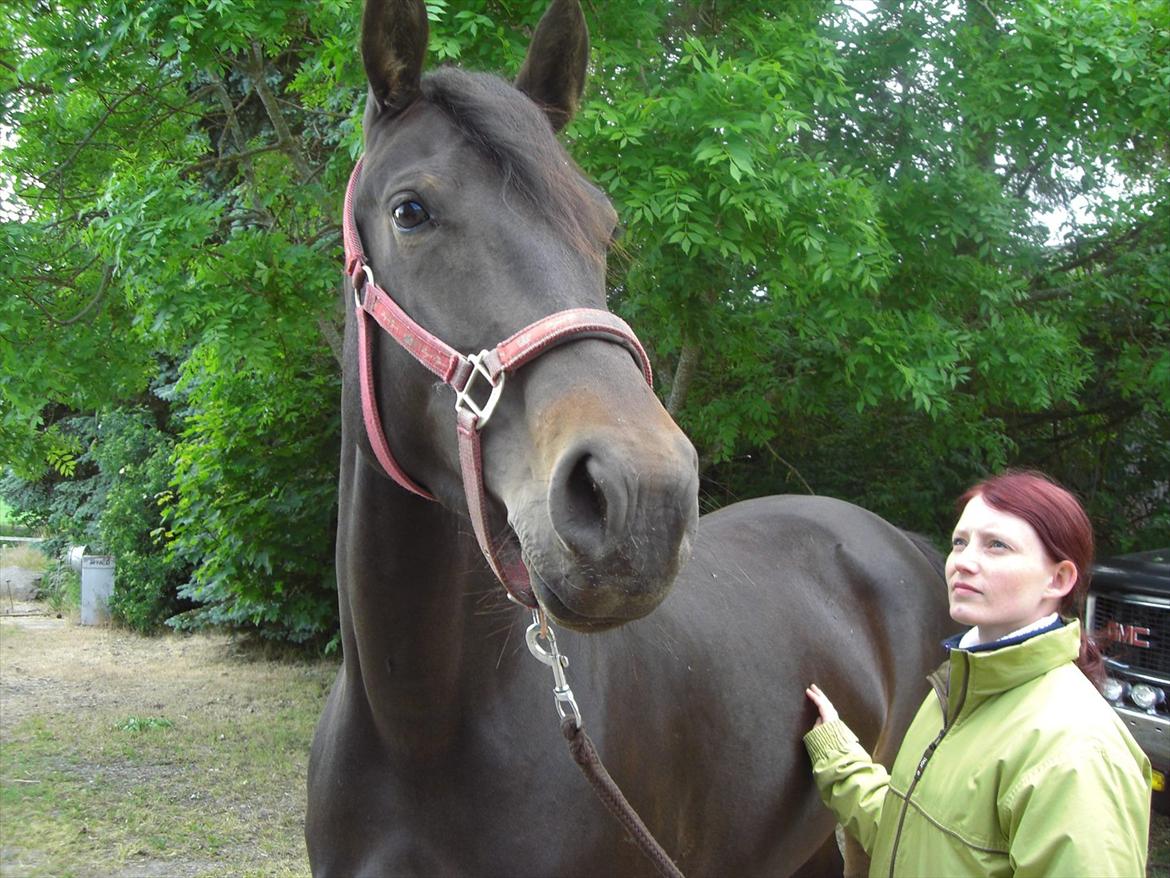 Anden særlig race Melina billede 1