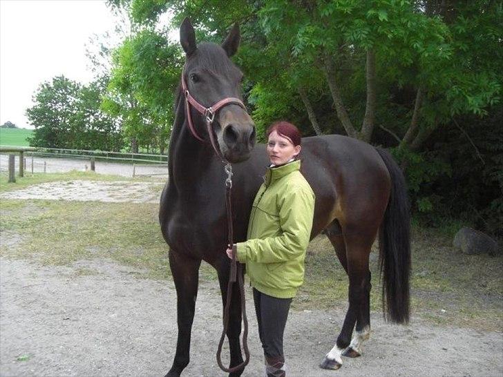 Anden særlig race Melina billede 2