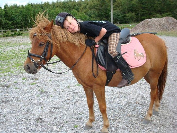 Anden særlig race Snuggi billede 4