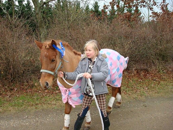 Anden særlig race Snuggi - Vores første stævne også blev vi 2. :-) billede 5