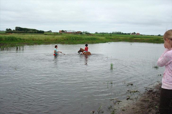 Anden særlig race Snuggi billede 6