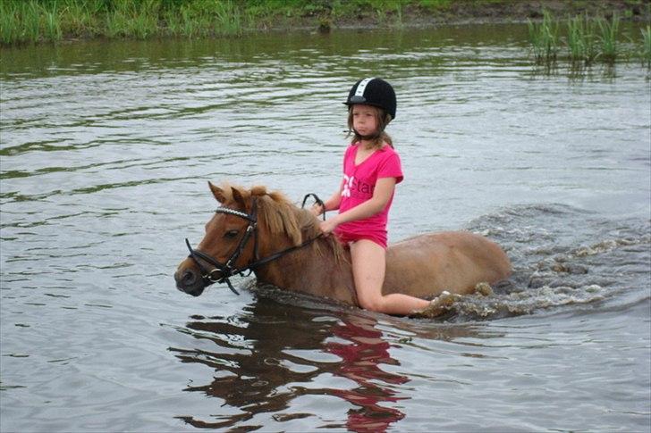 Anden særlig race Snuggi - Snuggi elsker at bade ..her er det med Lærke billede 7