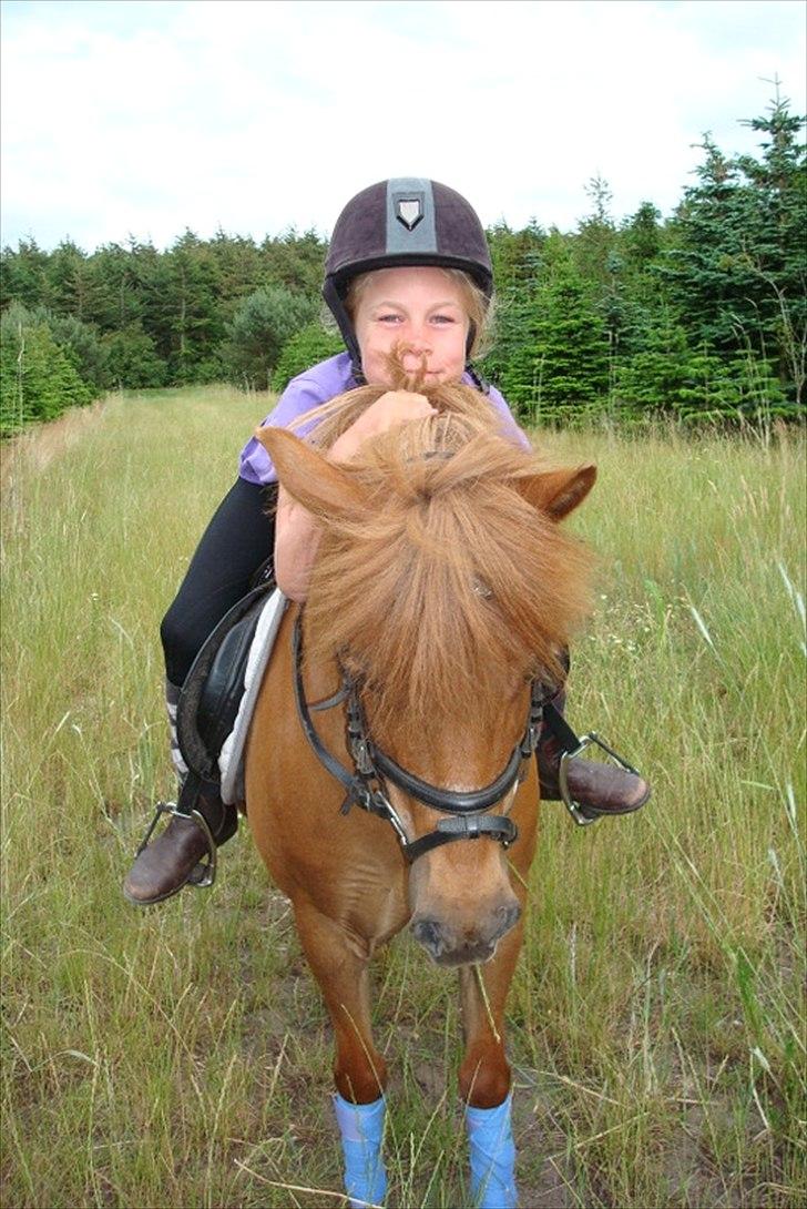Anden særlig race Snuggi billede 8