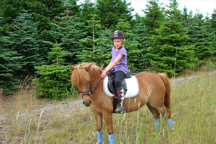 Anden særlig race Snuggi billede 9