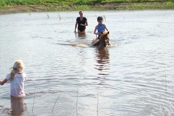 Anden særlig race Snuggi billede 11