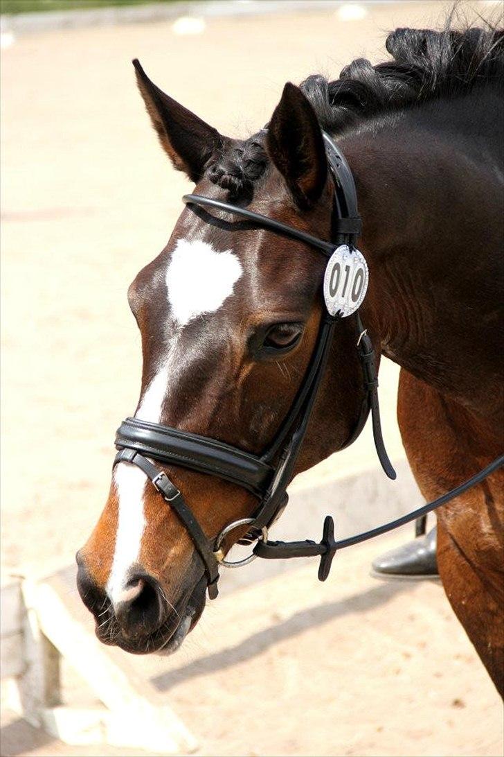 DSP Fontain af Stensnæs billede 18