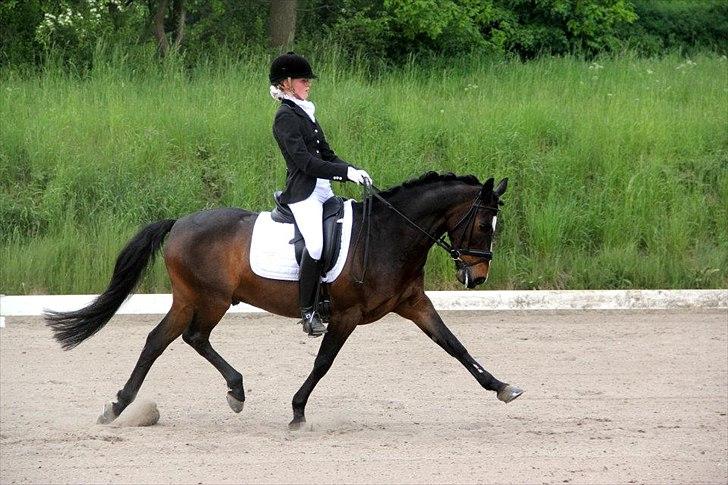 DSP Fontain af Stensnæs billede 20