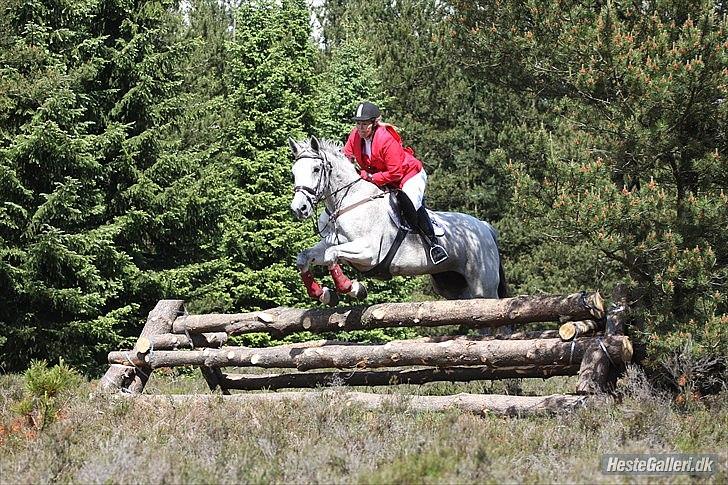 Dansk Varmblod Winzal Star - JJR jagt 2/6-2012 billede 15