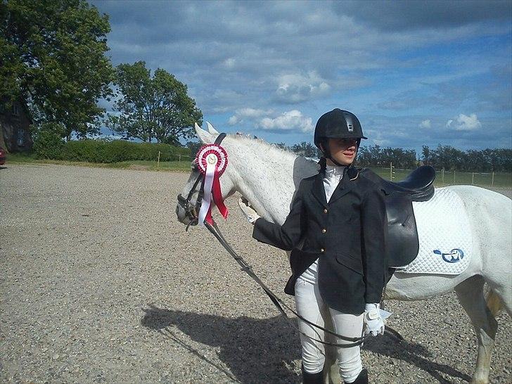 Welsh Partbred (Sec F) Toftekjærs Loralai KLUBMESTER DRSSUR 2012!  - 1 plads til første stævne i LC1 billede 11