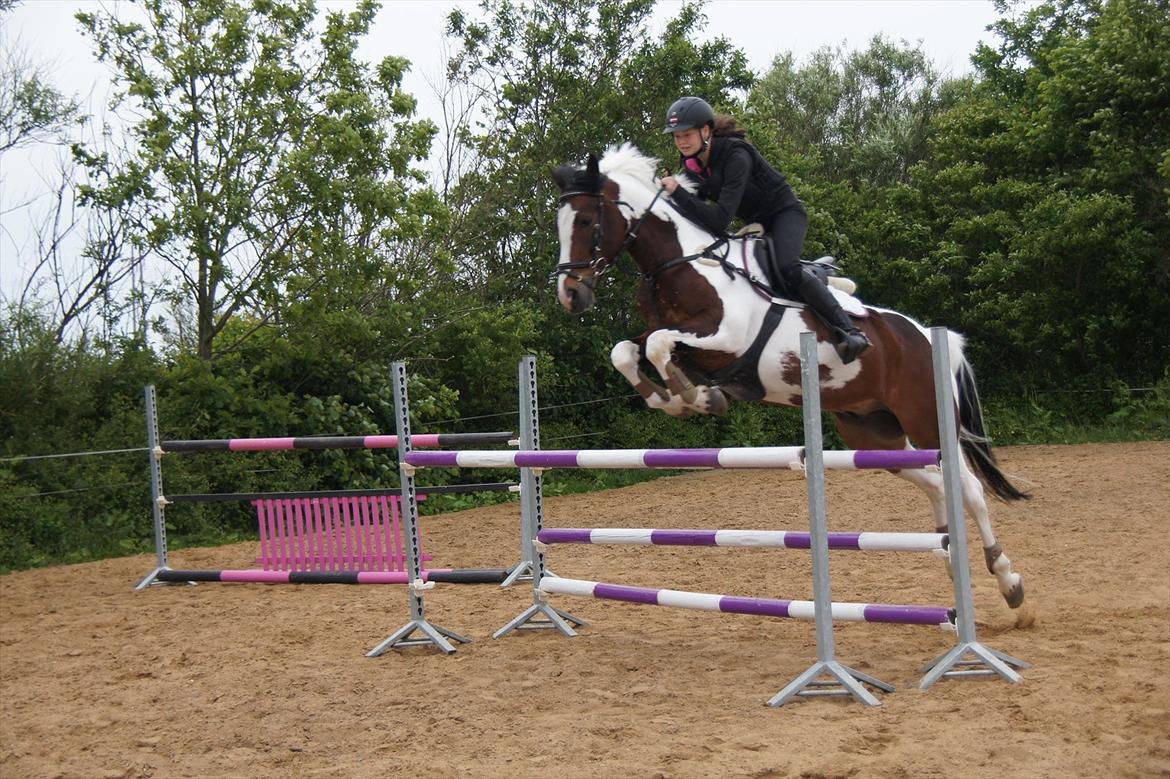 Pinto Sheroc Højgård - Sheroc og jeg til springtræning ved Stutteri Højgård.. Elsker den pony <3 billede 13