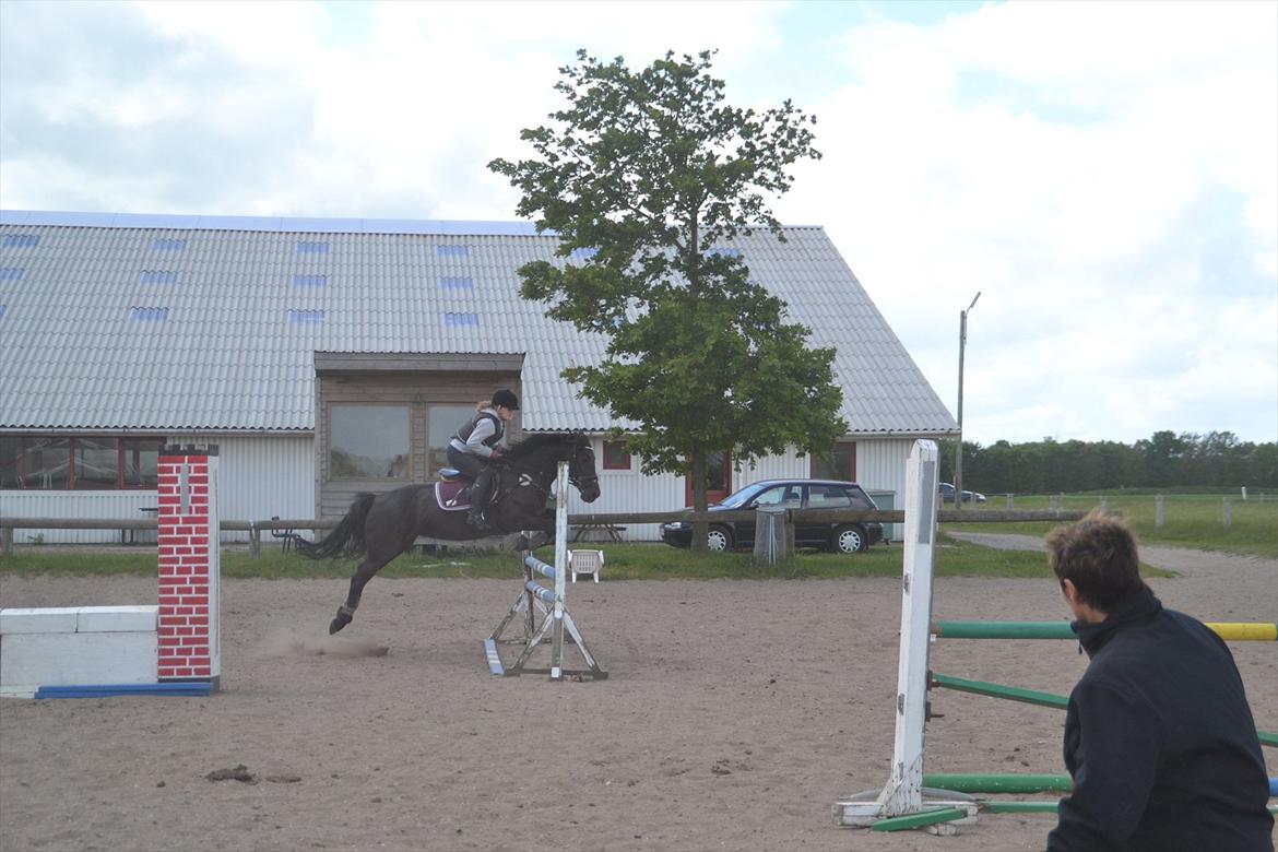 Anden særlig race Fie * My soulmate* <3 - Skulle lige øve veninger :-D<3 fuck hun er cool :-D 5/6 2012 billede 10