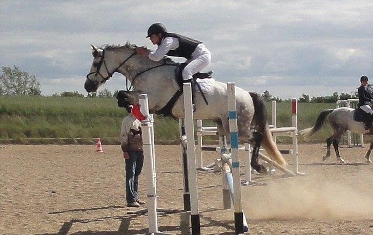 Anden særlig race Lukas - Luke og jeg på Grundlovsdag 150 cm. :D  billede 18