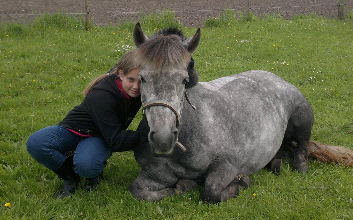 Anden særlig race Sugar - krammemus billede 11
