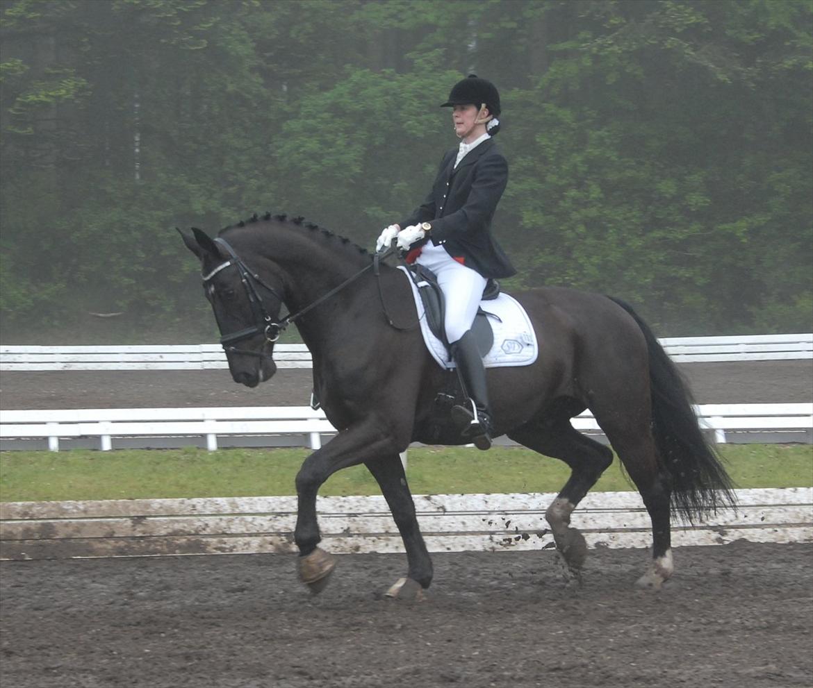 Oldenborg Østrupgård Primus - trav øgning billede 19