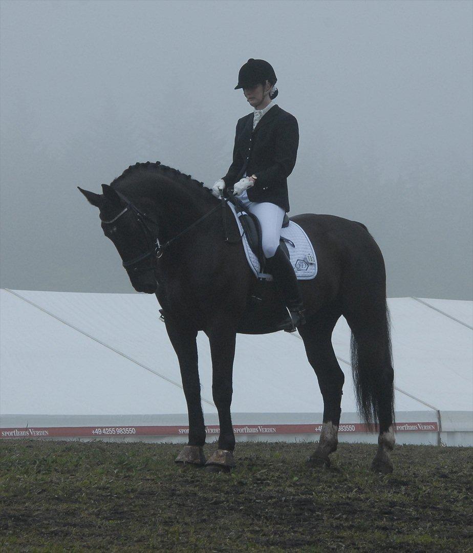 Oldenborg Østrupgård Primus - morsø stævne 2012 billede 20