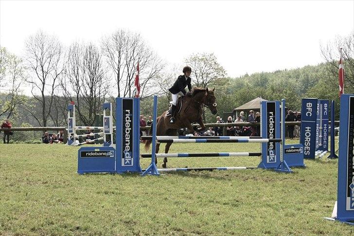 Tysk Sportspony Santa Fee SOLGT - Santa og hendes nye ejer i en la til sydjysk horseshow. billede 14