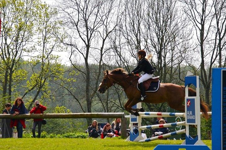 Tysk Sportspony Santa Fee SOLGT - Santa og hendes nye ejer i en la til sydjysk horseshow. billede 15