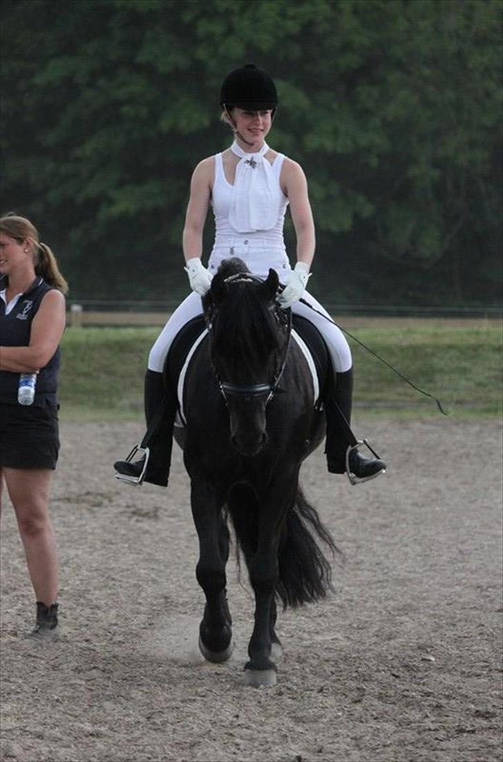 Welsh Cob (sec D) Tolstrups Kahjal - Stævneklar :) Billede: Rikke billede 3