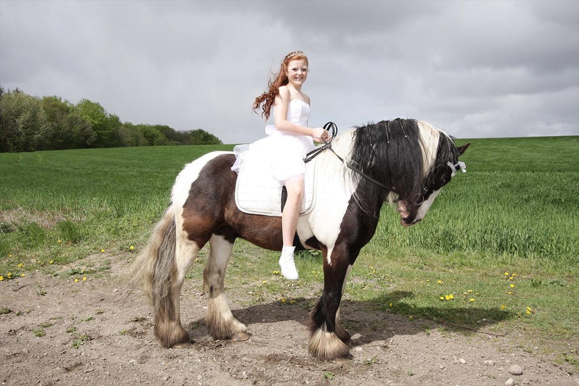 Tinker Sir Elliot - Konfirmation d. 12-5-12 en uforglemmelig dag!
Foto min far:-) billede 17